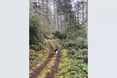 Hwy 101N, North Bend, OR 97459 - Photo 1