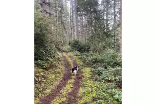 Hwy 101N, North Bend, OR 97459 - Photo 1