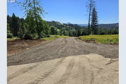 3 Blacks Dr, Cottage Grove, OR 97424 - Photo 1