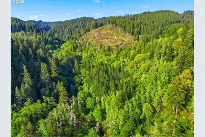 Upper North Ford Rd, Florence, OR 97439 - Photo 1
