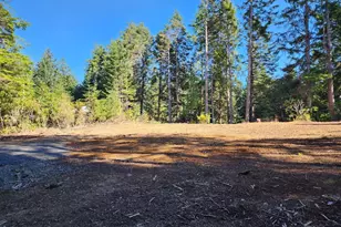 Park Rd, Port Orford, OR 97465 - Photo 1