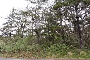State Route 105, Grayland, WA 98547 - Photo 1