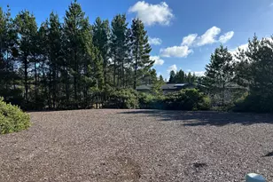 826 Munsel Creek Loop, Florence, OR 97439 - Photo 1