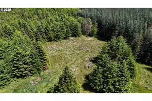 18820 Roseburg St SW, Rochester, WA 98579 - Photo 1