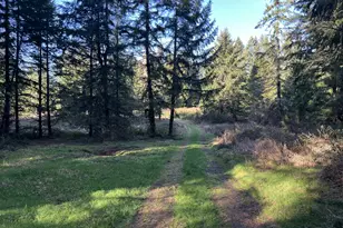 39775 SE Kitzmiller Rd, Eagle Creek, OR 97022 - Photo 1