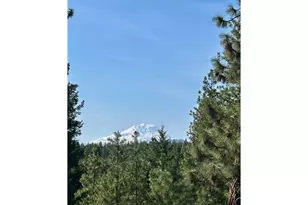 498 Turkey Ranch Rd, Goldendale, WA 98620 - Photo 1