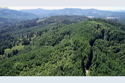 Lee Valley Rd, Myrtle Point, OR 97458 - Photo 1