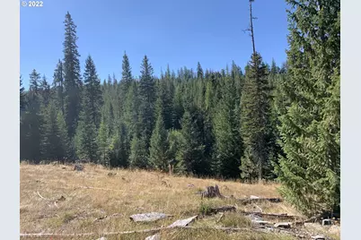 0 Forrest Land, La Grande, OR 97850 - Photo 1