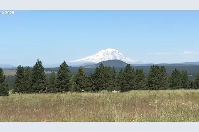 Vogt Lot 3 Way #Lot 3, Goldendale, WA 98620 - Photo 1