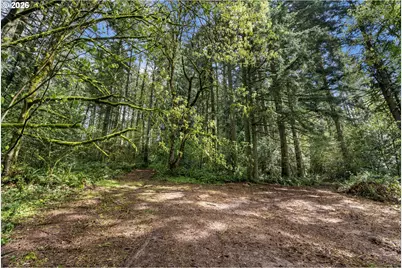 0 NE 72nd Ave, La Center, WA 98629 - Photo 1