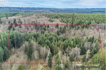 0 Germany Creek Rd, Longview, WA 98632 - Photo 1