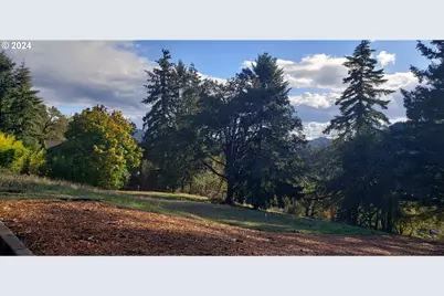 284 Edgeview Dr, Elkton, OR 97436 - Photo 1