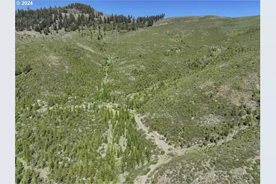 0 Nfs 1680 Rd., Unity, OR 97884 - Photo 1