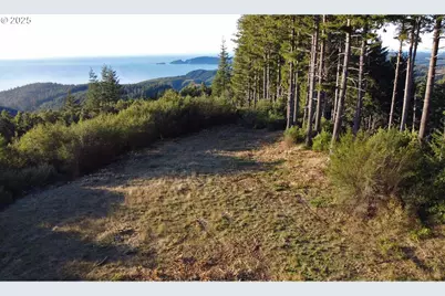 0 China Mountain Rd, Port Orford, OR 97465 - Photo 1