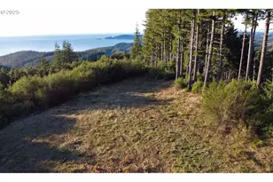 0 China Mountain Rd, Port Orford, OR 97465 - Photo 1