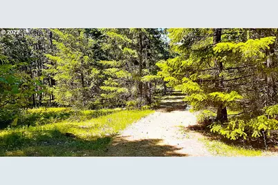 00 Dry Creek Road, Mosier, OR 97040 - Photo 1