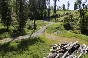 15618 S Wave Rd, Mulino, OR 97042 - Photo 1