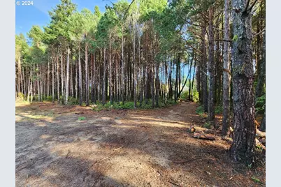 Kreiger Ln #123, Port Orford, OR 97465 - Photo 1