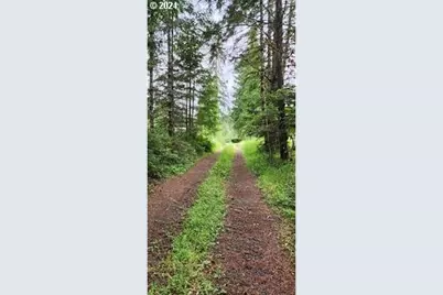 24099 Hall Rd, Cheshire, OR 97419 - Photo 1