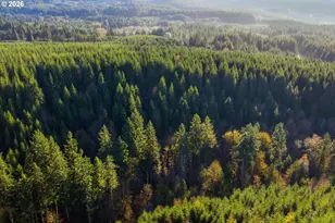 Nowakowski Rd, Banks, OR 97106 - Photo 1