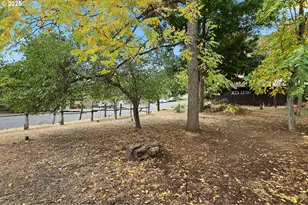 E Franklin St, Bingen, WA 98605 - Photo 1