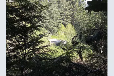 96113 Euchre Creek Rd, Gold Beach, OR 97444 - Photo 1