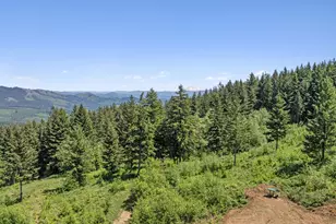0 NE 298th Ct, Camas, WA 98607 - Photo 1
