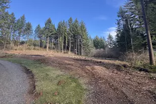 NE 65th St, Camas, WA 98607 - Photo 1