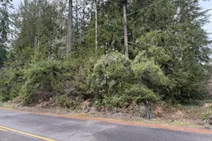 208 Riverview Dr, Castle Rock, WA 98611 - Photo 1