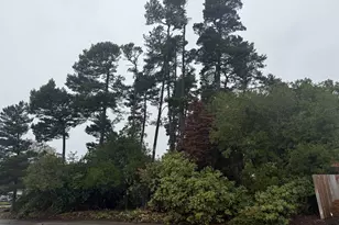 0 23rd St, Florence, OR 97439 - Photo 1