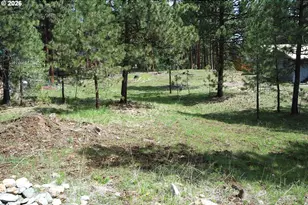 Ibex St, Sumpter, OR 97877 - Photo 1