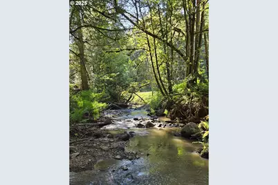 0 State Highway 138, Oakland, OR 97462 - Photo 1