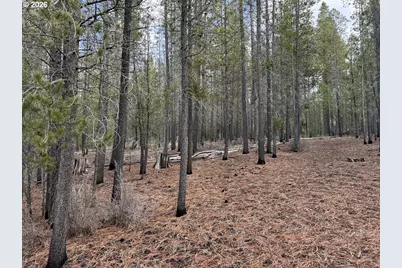 Schoonover 7 #2500, Crescent, OR 97733 - Photo 1