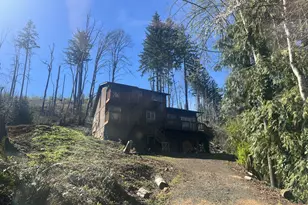 45300 Goodpasture Rd, Vida, OR 97488 - Photo 1