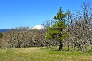 Centerville Hwy Lot3, Lyle, WA 98635 - Photo 1
