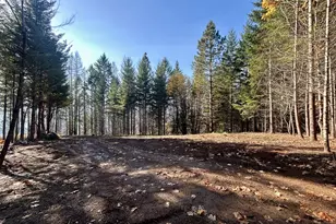 9562 Cook-Underwood Rd, Underwood, WA 98651 - Photo 1