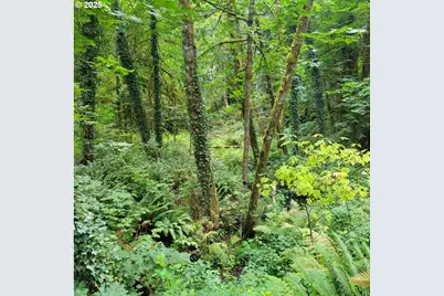 Coal Creek Rd, Scappoose, OR 97056 - Photo 1