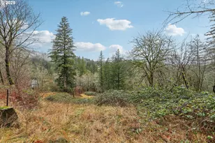 205 NE 353rd Ave, Washougal, WA 98671 - Photo 1