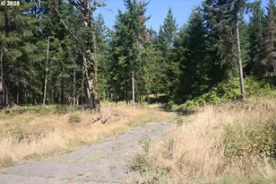 3647 Briar Knob Loop NE, Scotts Mills, OR 97375 - Photo 1