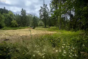 1588 Lone Rock Rd, Glide, OR 97443 - Photo 1