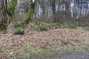 0 Forest Park Rd, Rainier, OR 97048 - Photo 1