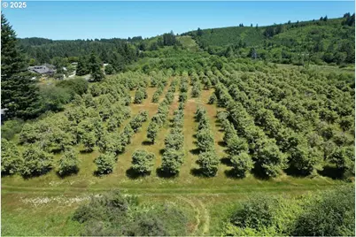 Vl Off Hwy 30, Astoria, OR 97103 - Photo 1