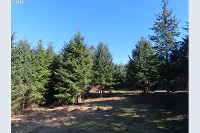 80 Wilson Ln, South Bend, WA 98586 - Photo 1