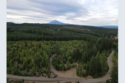 4 Conboy Heights #4, White Salmon, WA 98672 - Photo 1