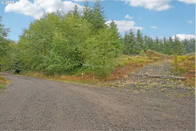374 Bellwood Dr, Castle Rock, WA 98611 - Photo 1