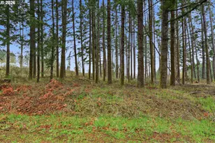 NW Pumpkin Ridge Rd, North Plains, OR 97133 - Photo 1