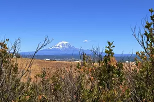 Erickson Rd, Centerville, WA 98613 - Photo 1