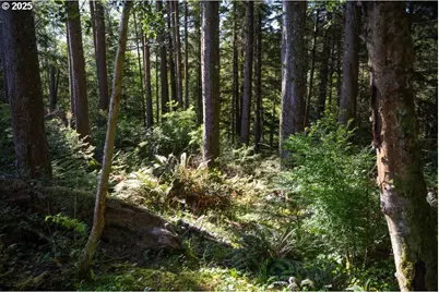 0 Eagle St, Ilwaco, WA 98624 - Photo 1