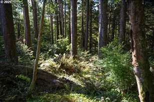 0 Eagle St, Ilwaco, WA 98624 - Photo 1