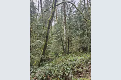 201 Pin Creek Ln, Kelso, WA 98626 - Photo 1